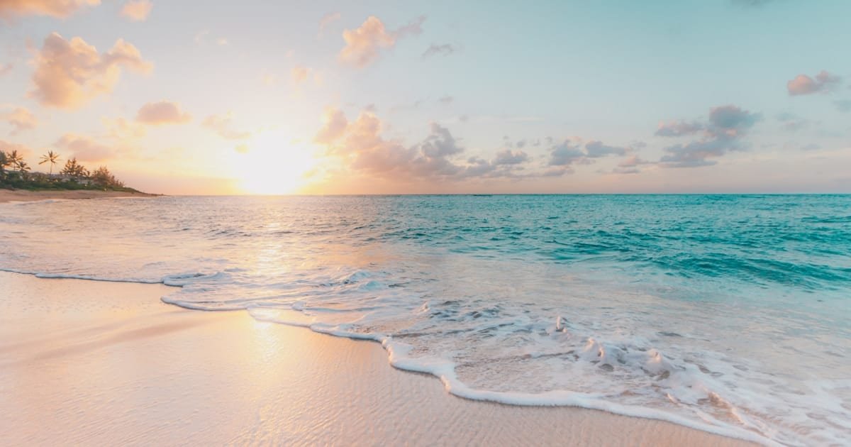 Tropical beach in January with palm trees and clear blue water winter escape